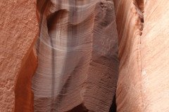 DSC03287-Medium