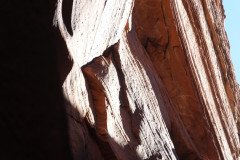 DSC03289-Medium