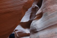 DSC03291-Medium