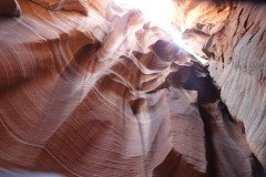 DSC03303-Medium