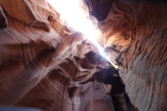 DSC03304-Medium