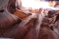 DSC03305-Medium