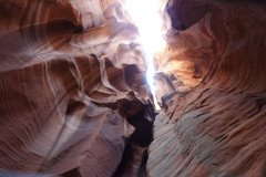 DSC03306-Medium