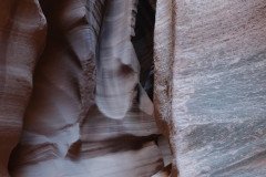 DSC03309-Medium