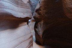 DSC03313-Medium