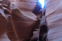 DSC03372-Medium