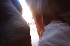 DSC03394-Medium