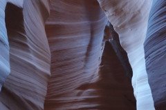 DSC03404-Medium