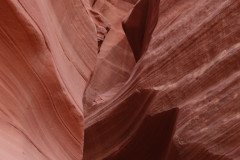 DSC03420-Medium