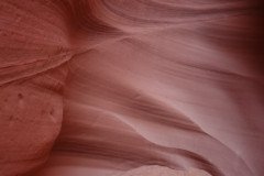 DSC03426-Medium