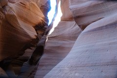 DSC03460-Medium