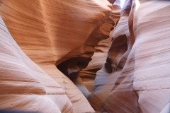 DSC03469-Medium