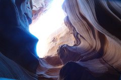 DSC03475-Medium