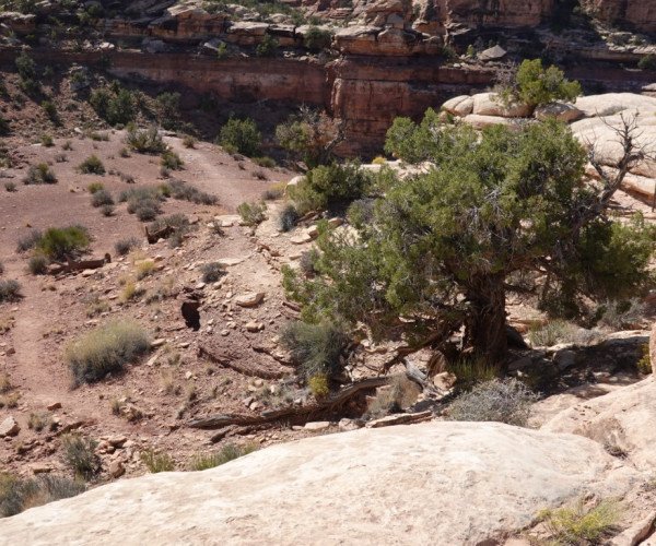 CanyonLands Needles