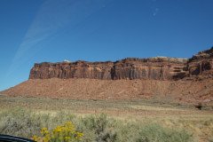 DSC00365-Medium