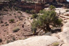DSC00374-Medium