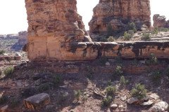 DSC00375-Medium