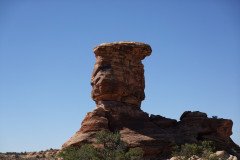 DSC00392-Medium