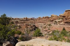 DSC00396-Medium