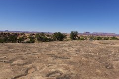 DSC00399-Medium