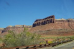 DSC00401-Medium