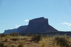 DSC00408-Medium