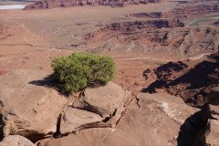 DSC00428-Medium