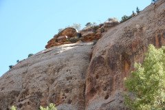 DSC02939-Medium