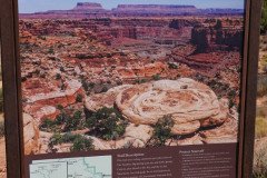 DSC02940-Medium