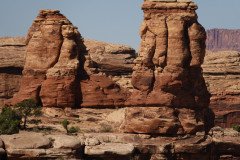 DSC02954-Medium