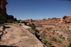 DSC02958-Medium