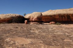 DSC02966-Medium