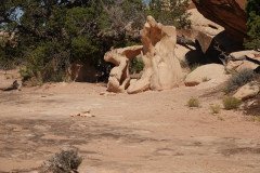 DSC02967-Medium