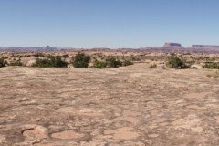 DSC02970-Medium