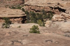 DSC02973-Medium