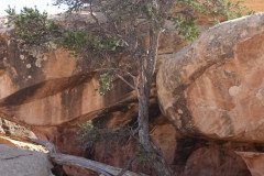 DSC02975-Medium