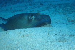 1_IMG_0636-.Medium