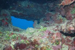 IMG_0498-.Medium