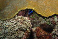 IMG_0545-.Medium