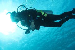 IMG_0563-.Medium