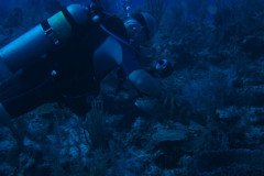 IMG_0572-.Medium