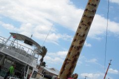 IMG_0629-.Medium