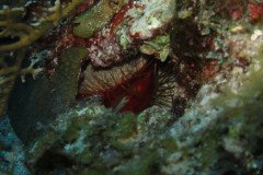 IMG_0633-.Medium