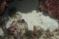 IMG_0643-.Medium