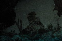 IMG_0648-.Medium