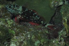 IMG_0671-.Medium