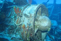 IMG_0677-.Medium