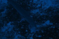 IMG_0695-.Medium