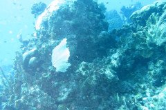 IMG_1927-.Medium