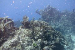 IMG_1928-.Medium